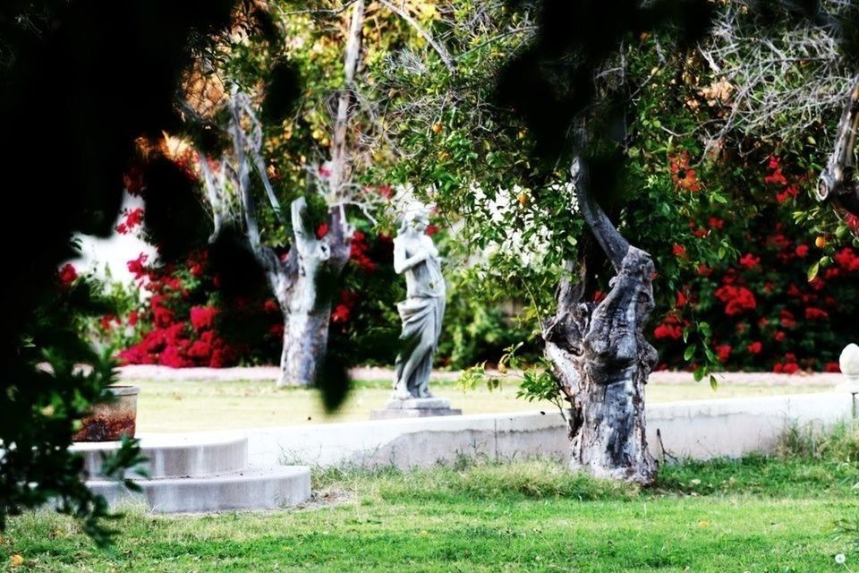 tree, park - man made space, grass, full length, human representation, statue, sculpture, growth, plant, art and craft, art, garden, childhood, creativity, outdoors, day, formal garden, nature