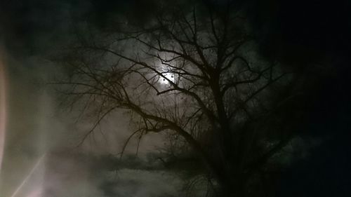 Low angle view of bare trees against sky