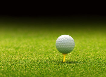 Close-up of golf ball on grass