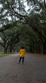 Rear view of woman standing on road in forest