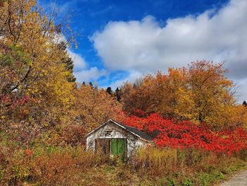 Plants growing on land against sky during autumn