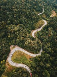 High angle view of road amidst trees in forest