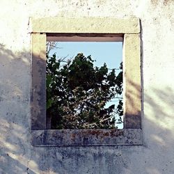 Built structure with trees in background