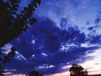 Low angle view of silhouette trees against sky at sunset