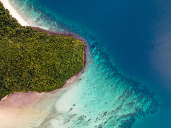 Aerial view of beach