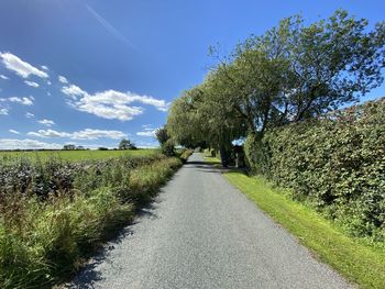 Looking up, wescoe hill lane, with wild plants, trees, and fields in, weeton, harrogate, uk