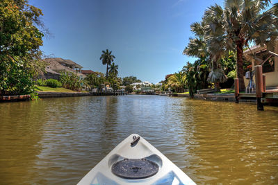 Scenic view of palm trees by river against sky