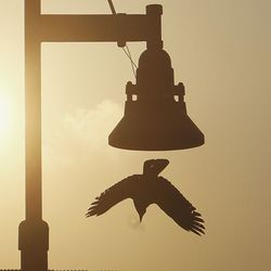 Close-up of silhouette hanging against sky