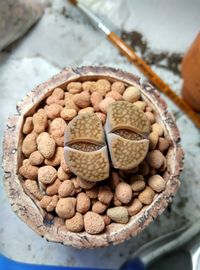 High angle view of bread in container