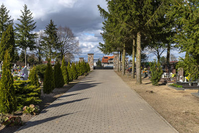 A paved alley that leads between the rows of tombs into a small cemetery with trees.