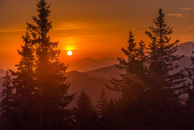 Silhouette trees against sky during sunset