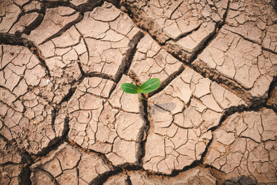 Ground cracks drought crisis environment background.