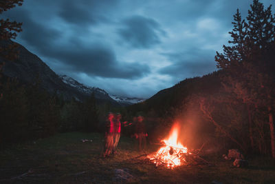 Bonfire in forest against sky