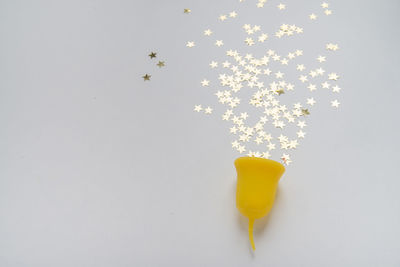 Directly above shot of heart shapes on white background