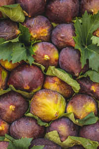 Full frame shot of vegetables