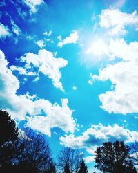 Low angle view of trees against blue sky