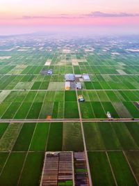 Beautiful aerial view of green paddy field