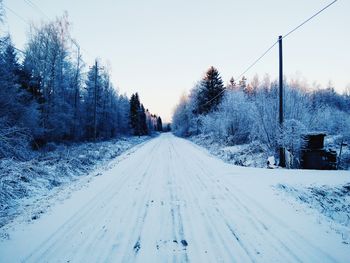 Road passing through forest