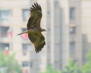 flying
