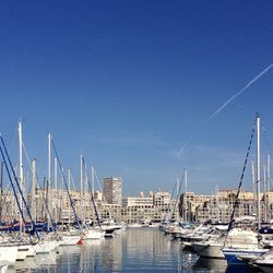 Sailboats moored in harbor