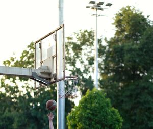 Low angle view of basketball hoop against trees