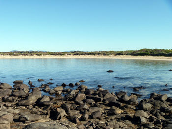 Scenic view of sea against clear blue sky