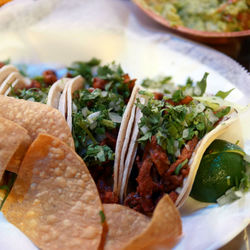 Close-up of served tortilla chips with wrap sandwich in plate