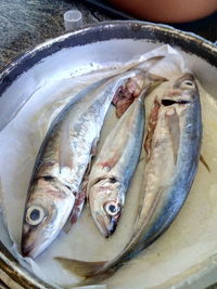 High angle view of fish for sale