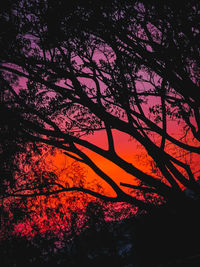 Low angle view of silhouette trees against sky during sunset