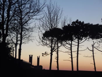 Low angle view of silhouette trees against sky at sunset