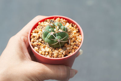 Midsection of person holding bowl