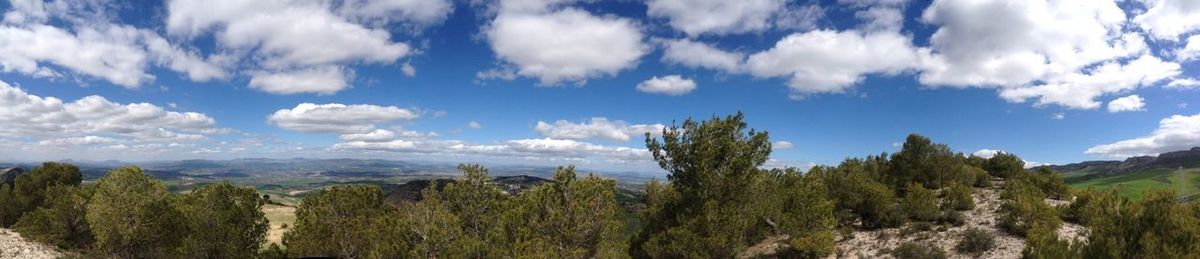 Scenic view of landscape against cloudy sky