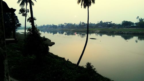 Reflection of trees in water