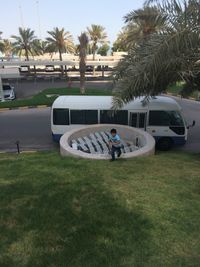 People in front of palm trees