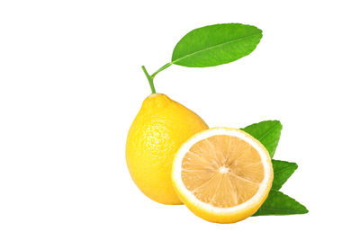 Close-up of orange fruit against white background