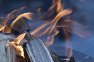 Close-up of burning woods 