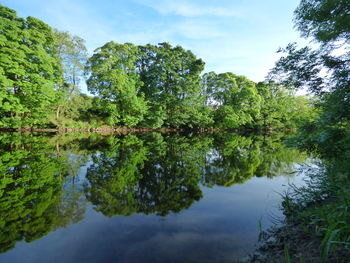 Reflection of trees in lake against sky