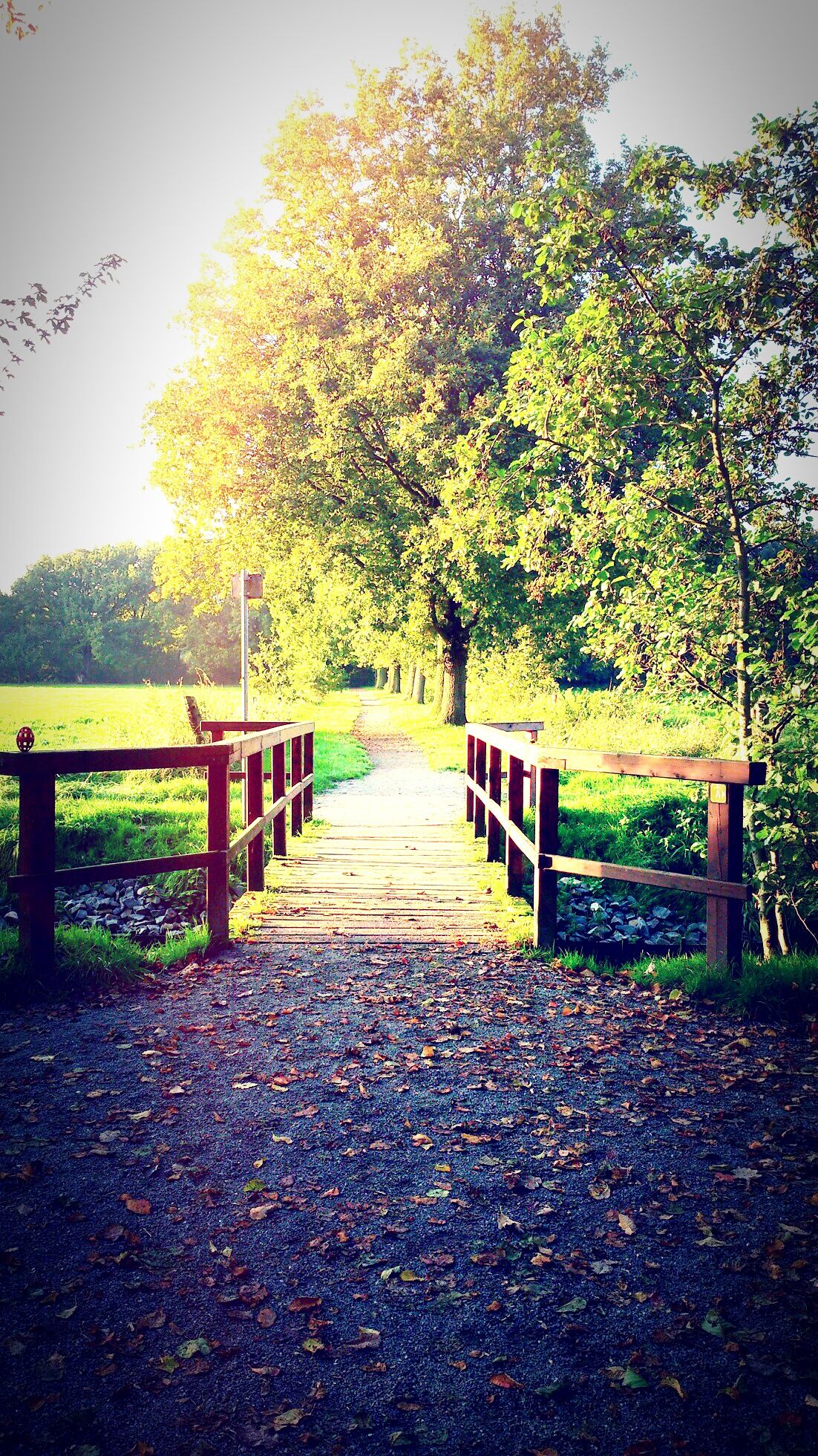 Nature eyeem nature lover beautiful nature bridge bridge view bridges