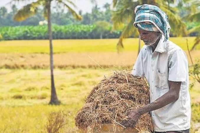 Fodder, also called provender, is any agricultural foodstuff used specifically to feed domesticated livestock, such as cattle, rabbits, sheep, horses, chickens and pigs. "Fodder" refers particularly to food given to the animals, rather than that which they forage for themselves. Haryana Jai Rajputana Har Har Mahadev Jai Shri Ram🚩🚩 Farmar Ambalavao USA Vertebrate Vulnerability  View Vegetable Vacation Vintage Vacations Variation Vehicle Vegetarian Valley Beauty In Nature Built Structure Building Exterior Blue Building Beach Background Nature No People Night Non-urban Scene Natural Mountain Men Mammal Landscape Water Women White Winter Woman Waterfront