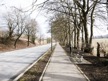 Road amidst bare trees against sky