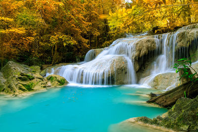 Colorful majestic waterfall in national park forest during autumn