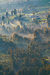 High angle view of field