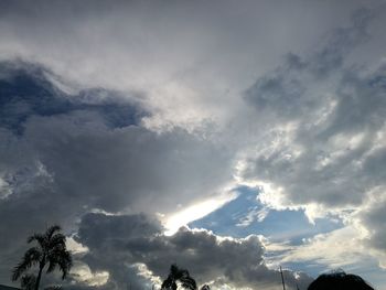 Low angle view of trees against sky