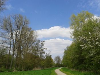 Road passing through landscape