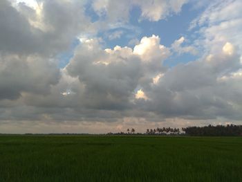 Scenic view of agricultural field against sky