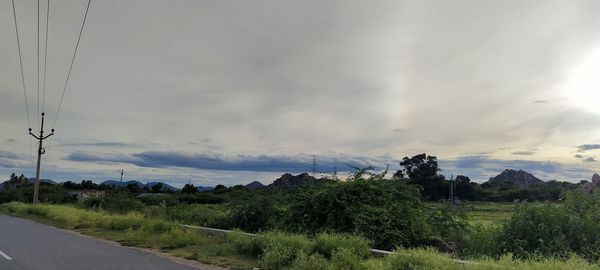 Panoramic shot of trees on field against sky