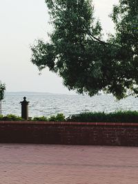 Man looking at sea against clear sky