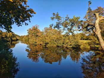 Reflection of trees in lake against sky