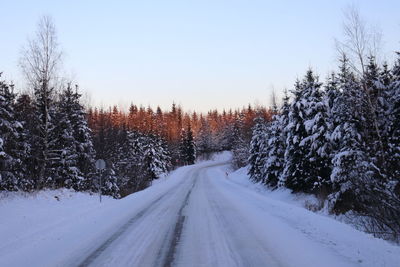 Snow covered road amidst plants against sky during winter