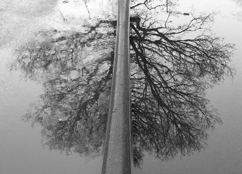 Low angle view of tree against sky